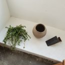 청림세탁소 이미지