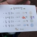 승마체험코스 이미지