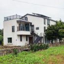 바오밥나무 민박 이미지