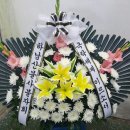 신용교 이미지