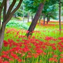 석산