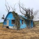 더불어 목장 이미지