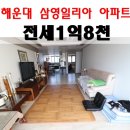 삼영일리아 이미지