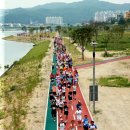 낙동강변9 이미지