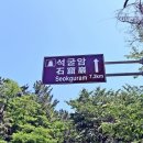 라라랜드 애견 펜션 이미지