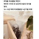미래장식 - 성남시 중원구 광명로361번길 11 | 미래장식