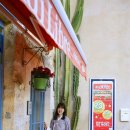 프로방스민박 이미지