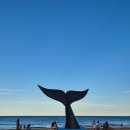 반도 | [아르헨티나] 푸에르토 마드린 여행 후기 + 발데스 반도 고래 투어 후기