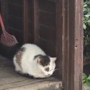 3박4일 자유여행 3일차 - 예스진지 일일버스투어 후기, 예류지질공원, 스펀폭포, 천등날리기, 진과스...