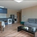 여수애견하우스 이미지