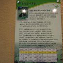 흑염소명가 이미지