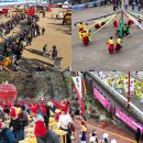 청송국민체육센터 | 2025 청송 사과축제 일정