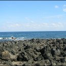 마장목장 이미지