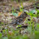 갯골근린공원 이미지