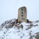 제71차 2019년1월6일 충남공주 계룡산(766m)눈산행 이미지