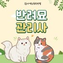 묘랑 고양이 전문호텔 | 고양이 자격증 반려묘 키우기 공부후기