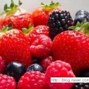 권순철농장 이미지