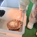 용기농장 | [김포 아이와 가볼만한곳] 김포곤충농장 초등학생 체험 후기