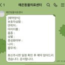 예은 동물의료센터 (쓸개골 탈구, 십자인대 파열) 진료 후기