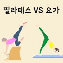 몽키필라테스체형교정센터