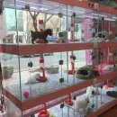 대구애견조류원 이미지