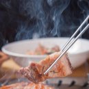 보성녹돈 이미지