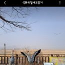 ☆ 10월 2일 금요일 김포 둑방길 따라 황금들녁 가을마중 철새 조망지 라이딩 갑니다~🚴‍♀️ 이미지