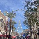 현대자동차아영점 | 라스베가스 스트립) 즐거웠던 CES 2024 출장 여행 후기 (ft. 인앤아웃 버거)