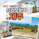 구자농장 | 제주 브라보비치 발리 감성 느낄 수 있는 성산 가볼만한곳
