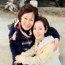 김혜자 카카오 검색결과