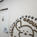 이루밍 | 수원 애견미용 애견스파 가위컷 사전예약 "컴피그루밍" 내돈내산 솔직후기