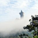 한반도행정사사무소 이미지