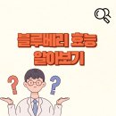 블루베리 효능✅