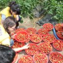 시온교회 이미지