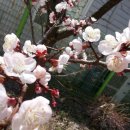 삼일어린이집 이미지