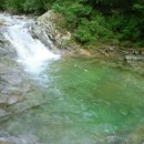 숲속계곡 이미지