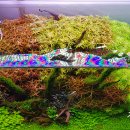 청비농장 이미지