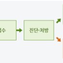 식물병원초록에서
