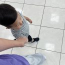 부암어린이집 | [부산키즈카페]부산진구 실내놀이터 라라키즈어드벤처 부산점