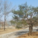 성호공원_조각공원주변 이미지