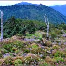 28산우회9월입추산행(지리산 천왕봉.1915m) 이미지