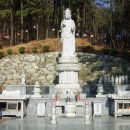 환경&보건연구소 Daum카페