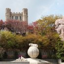 고려대학교 의학전문대학원 이미지