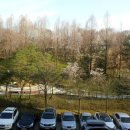 신흥약수터 이미지