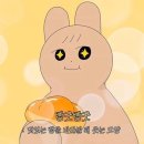 원효로 R | [베이커리 무이] 천하제빵 베이커리 후기 / 빵 종류, 가격, 예약 방법