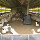 선제농장 이미지