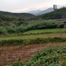 천관농장 이미지