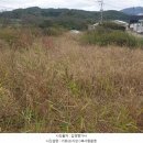 대구공산초등학교 이미지