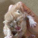 인생애짬뽕 | 어오랜만
