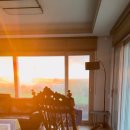 제주노을보리 이미지